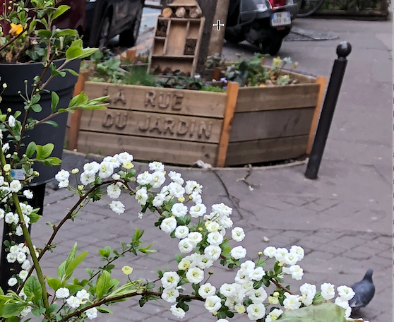 quiestlianederue_villagejourdain