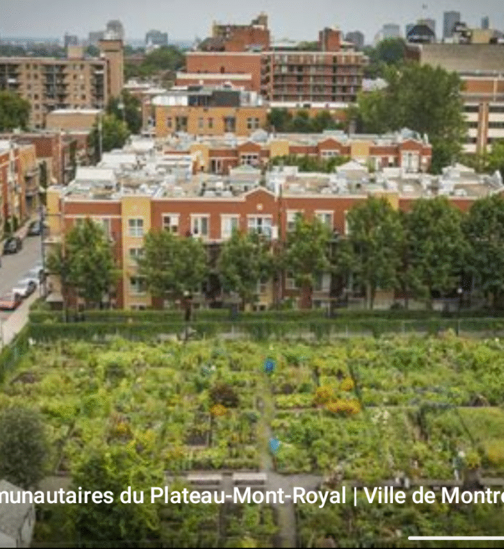 Ramener la nature en ville n’est pas un luxe, c’est une nécessité !